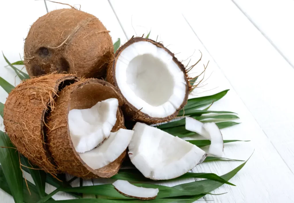 Coconut Meat Wayfz Coconut Cracker