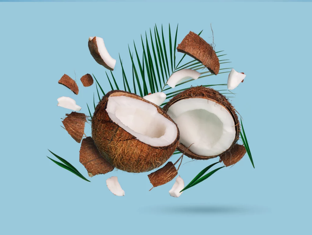 Blue Coconut Wayfz Coconut Cracker