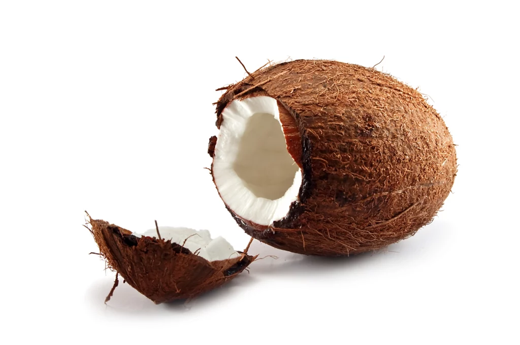 Wayfz Coconut Cracked Open